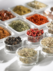 Various spices on a white background
