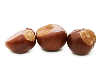 Brown chestnut nut closeup isolated on white background