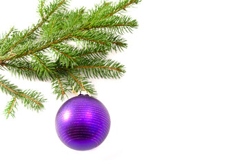 Fototapeta na wymiar Christmas glass ball hanging on the tree