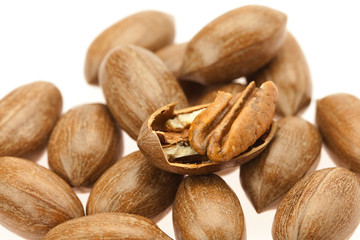 Pecan isolated on white