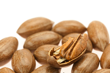Pecan isolated on white