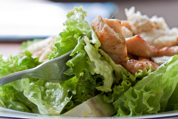 Grüner Salat mit Huhn