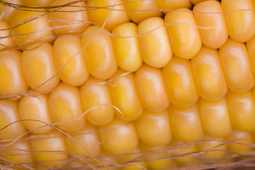 Nahaufnahme Maiskolben