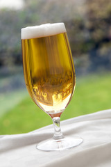 Glass of Beer