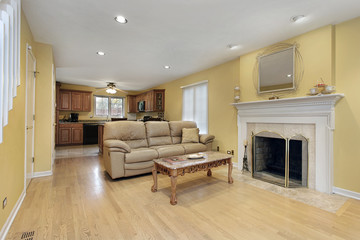Living room with fireplace