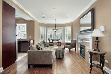Living room with marble fireplace