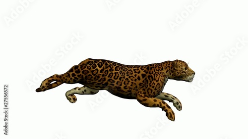 "Jaguar Running" Stock footage and royalty-free videos on Fotolia.com