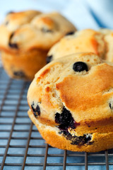 Blueberry Muffins