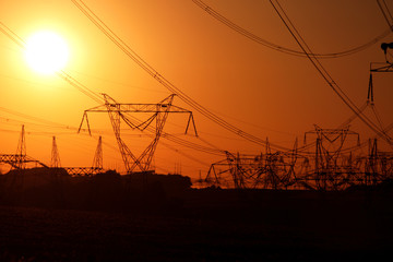 jungle of high voltage transmission towers