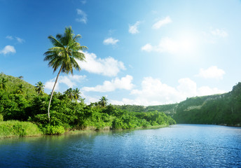 Fototapeta na wymiar tropical river