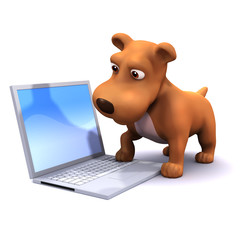 3d Small dog checks his email