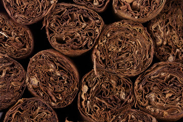 handrolled cigars