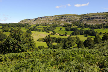 Castell Dinas Bran