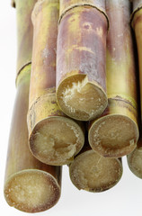 morceaux de cannes &agrave; sucre