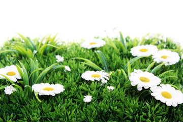 Frühling