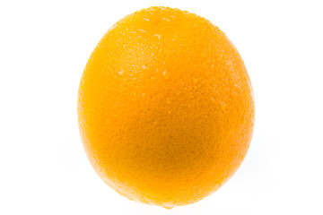 Isolated fresh orange on a white background