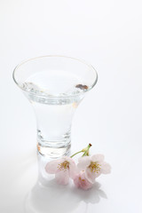 冷酒のグラスと桜の花