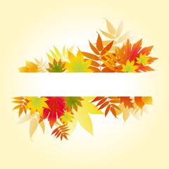 Naklejka na ściany i meble autumnal colored leaves