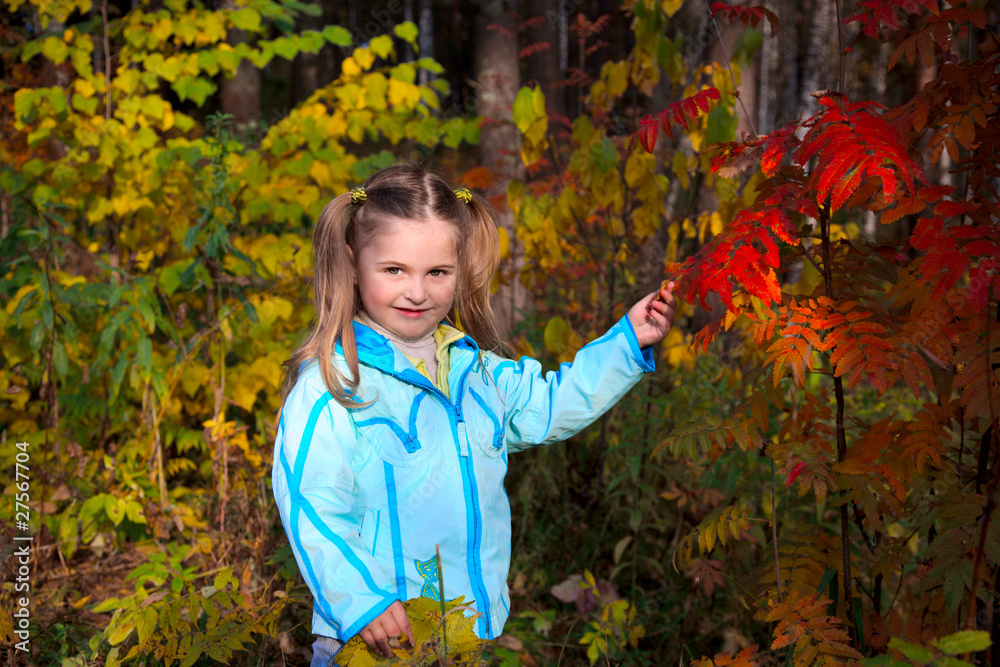 Wall mural Girl in an autumn park