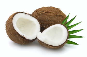 Coconut with leaves