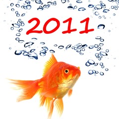 new year 2011