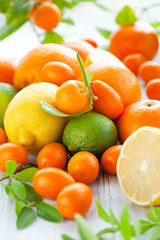 Citrus fresh fruits