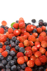 Wild strawberries and blueberries