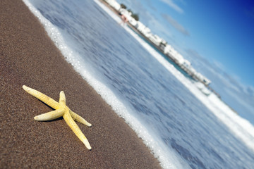 Fototapeta na wymiar Yellow starfish on the beach, Lanzarote