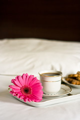 Breakfast in bed