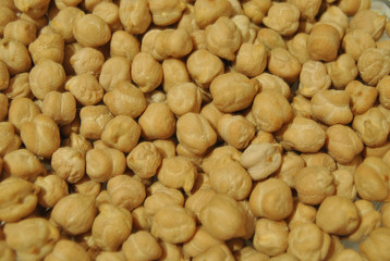 chickpea