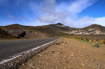 Empty road in western Patagonia, Argentina