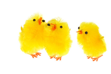 yellow chicklings