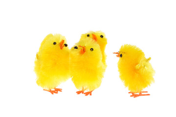 yellow chicklings