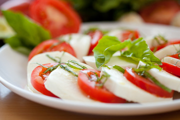 Mozzarella and Basil and Tomato 5