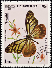 Fototapeta na wymiar Stamp, butterfly and flower.