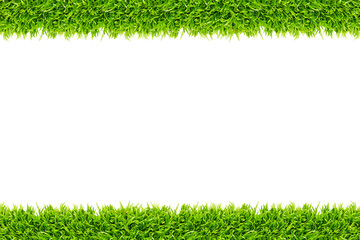 Grass frame isolated