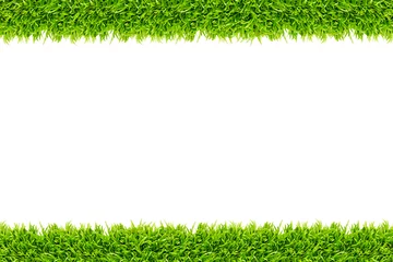 Deurstickers Grass frame isolated © tungphoto