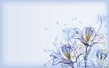 gentle vector background with  blooming lilies