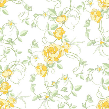 Roses and buds, seamless background