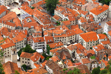 Obraz premium Bird eye view of buildings in Kotor old town, Montenegro