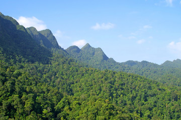 Rainforest hills on Langkawi island, Malaysia