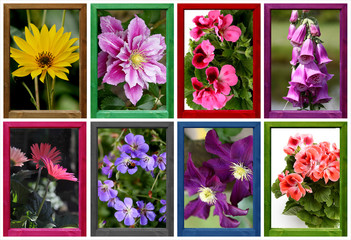 Gerahmte Blumen-Collage