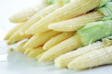 Baby corn