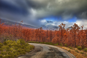 Carretera hacia las cumbres