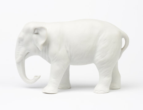5,270 White Elephant Stock Photos, High-Res Pictures, and Images - Getty  Images