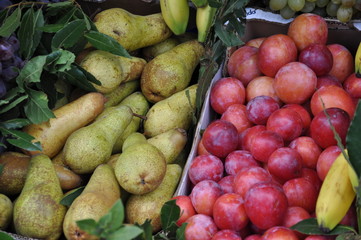 Früchte und Obst