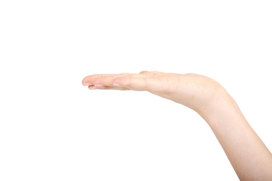 Hand with free space (white background)
