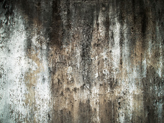 Cracks of the old wall