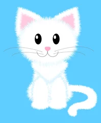 Tableaux ronds sur plexiglas Anti-reflet Chats chat blanc