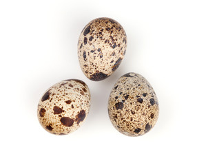 Obraz premium Three quail eggs